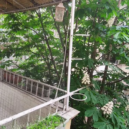 Cozy Nearby Besiktas - Keyif Ve Huzur Dolu * Istanbulská provincie